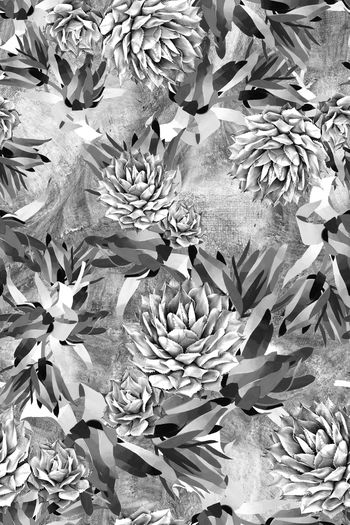 1095690-FLZ18-7-17....