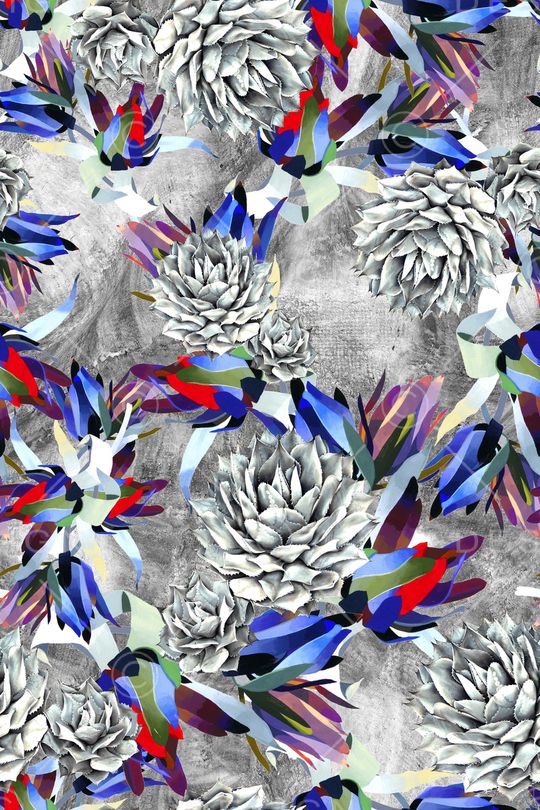 泳装印花华亿平台图片