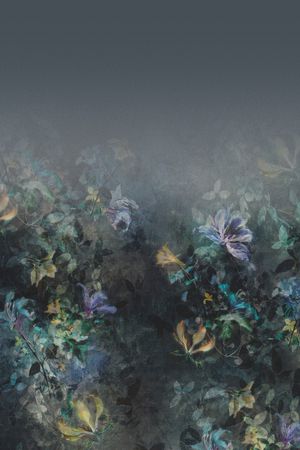 黑底花卉印花华亿平台图片