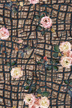 波西米亚印花华亿平台图片