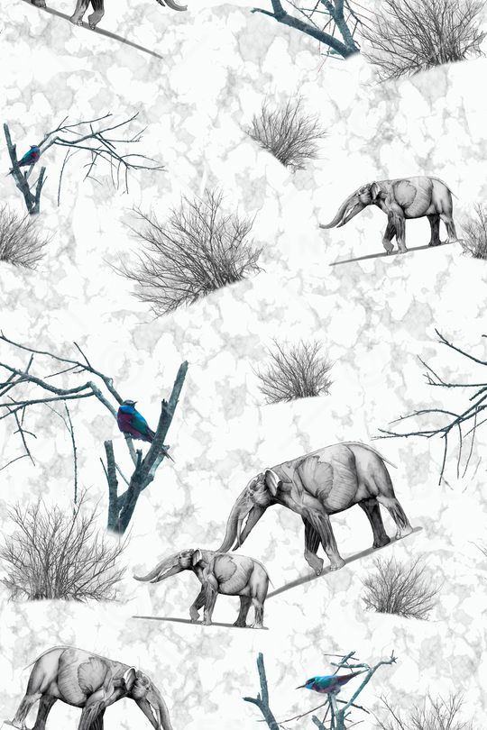 大象印花华亿平台图片