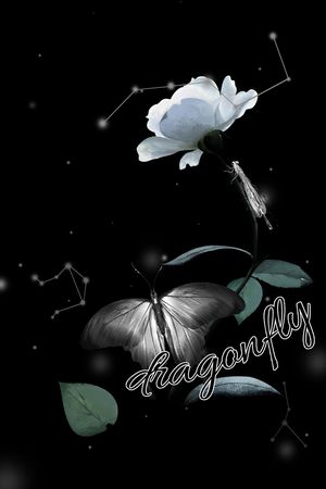 卡通印花华亿平台图片