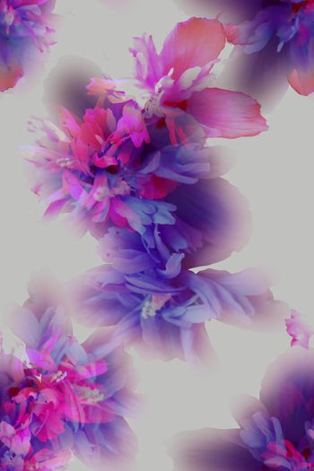 1096000-浪漫花卉