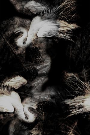 裤子印花华亿平台图片