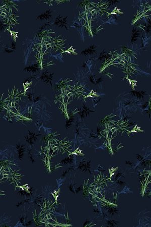 鸟印花华亿平台图片