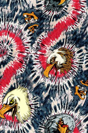 老鹰印花华亿平台图片