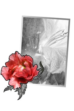 百合印花华亿平台图片