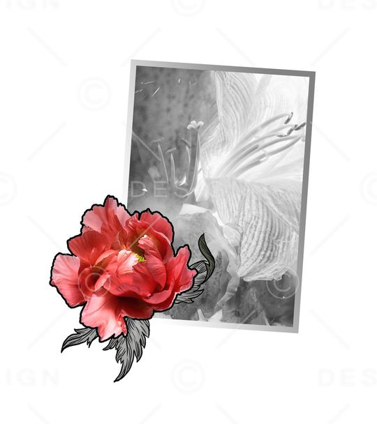 百合印花华亿平台图片