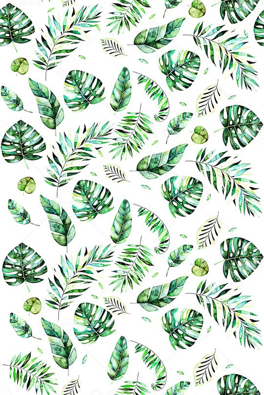 女装印花华亿平台图片