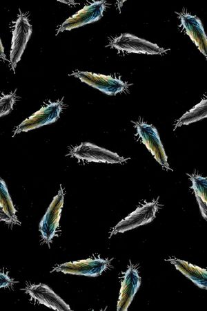 羽毛印花华亿平台图片