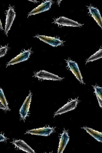 羽毛印花华亿平台图片