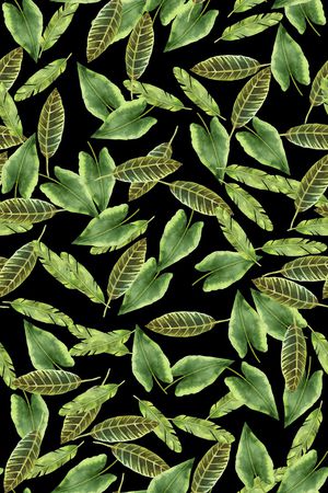 衬衫印花华亿平台图片