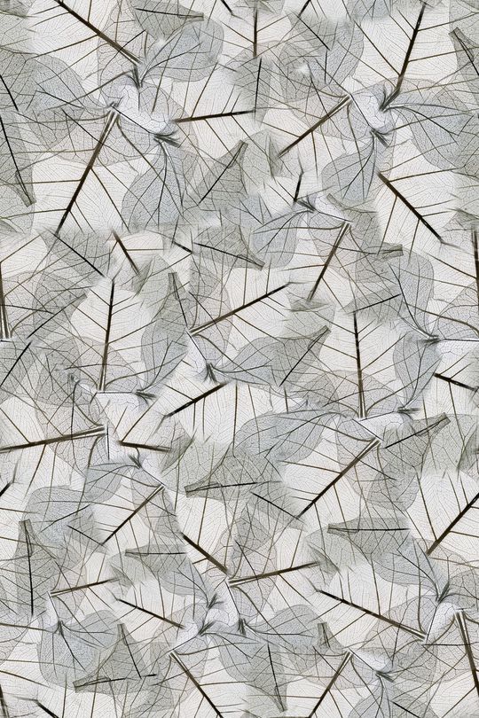 休闲印花华亿平台图片