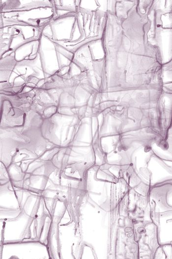 1097275-2018-07-17-2---c