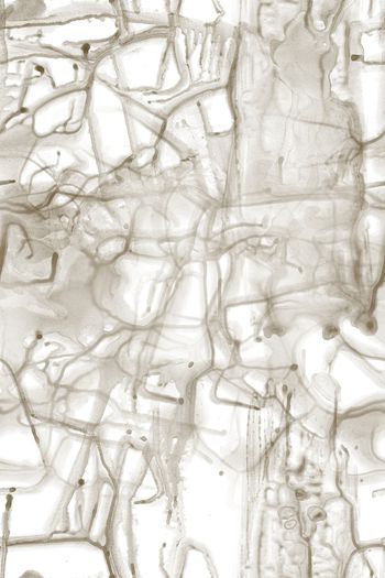 1097276-2018-07-17-2---b