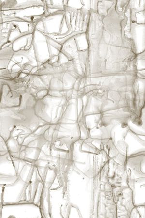 肌理印花华亿平台图片