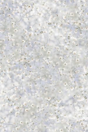 小碎花印花华亿平台图片