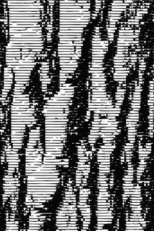 黑白条纹印花华亿平台图片