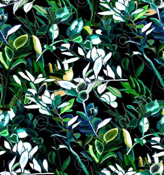 热带华亿平台印花华亿平台图片