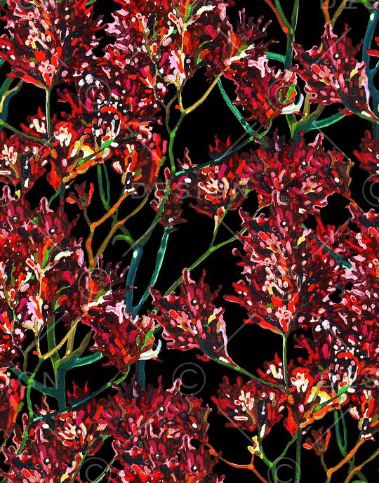 蒲公英印花华亿平台图片