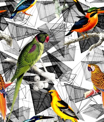 1097672-未标题-029