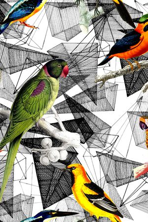 猴子印花华亿平台图片