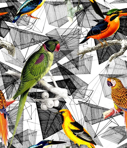 猴子印花华亿平台图片