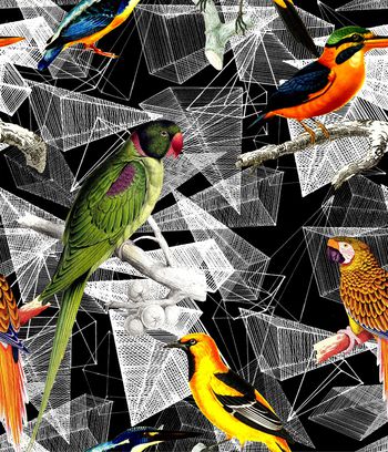 1097674-未标题-029A