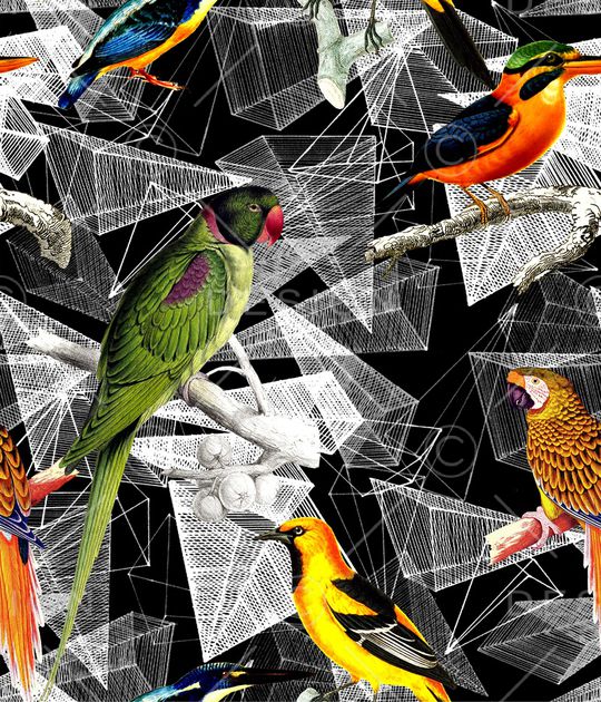 猴子印花华亿平台图片