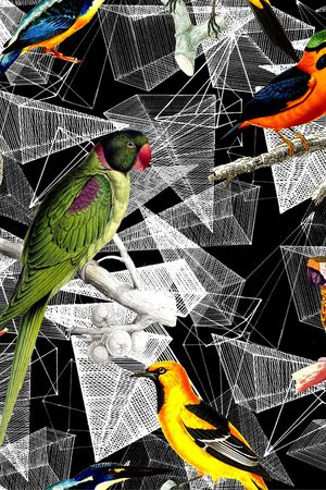 猴子印花华亿平台图片