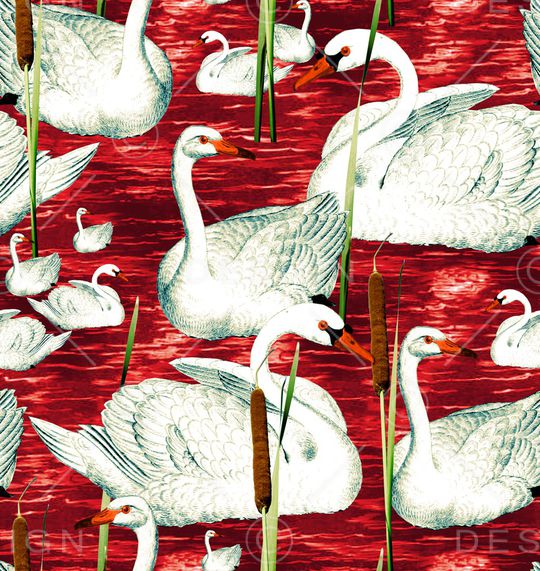 猴子印花华亿平台图片