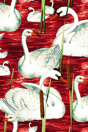 猴子印花华亿平台图片