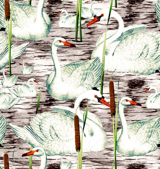 猴子印花华亿平台图片