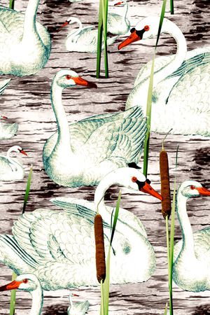 猴子印花华亿平台图片