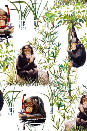 猴子印花华亿平台图片