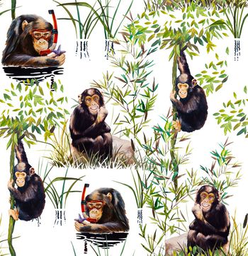 1097692-未标题-043A