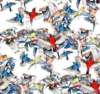 1097694-未标题-010