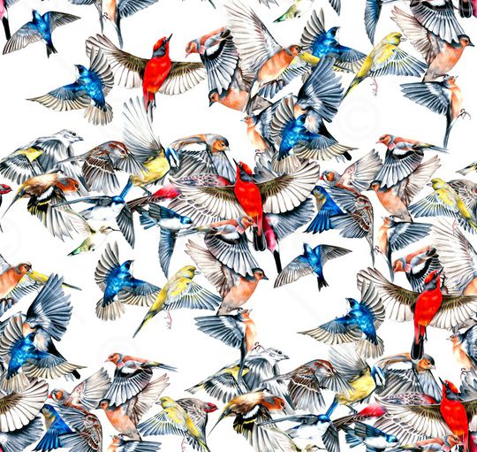 猴子印花华亿平台图片