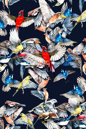 猴子印花华亿平台图片