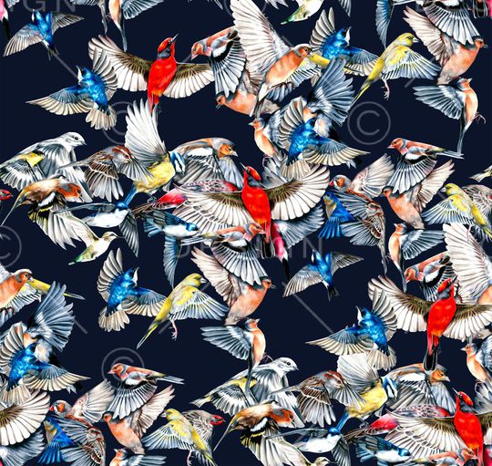 猴子印花华亿平台图片