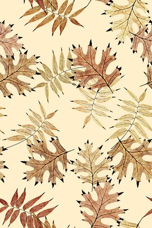 春夏华亿平台印花华亿平台图片