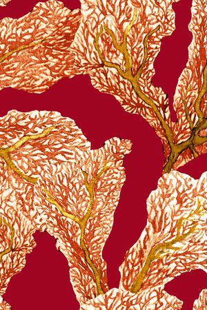 珊瑚印花华亿平台图片