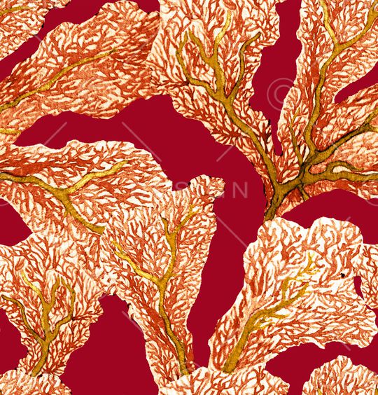 珊瑚印花华亿平台图片