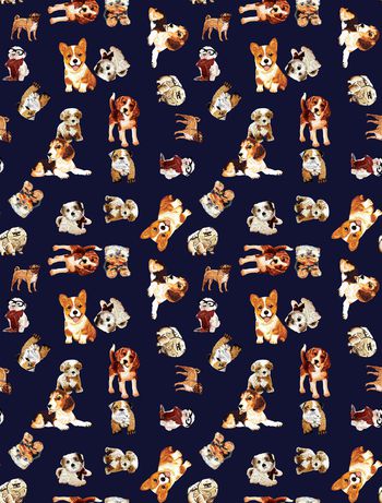 1097804-未标题-081