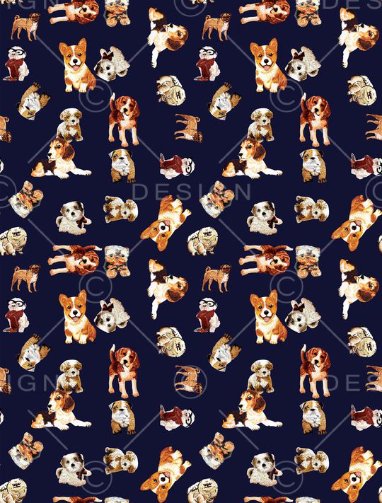 猫印花华亿平台图片