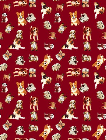 1097805-未标题-081A