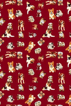 猫印花华亿平台图片