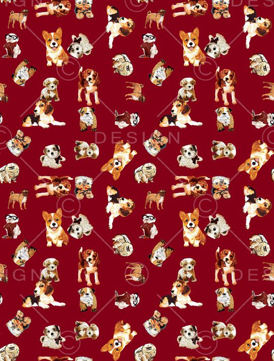 猫印花华亿平台图片