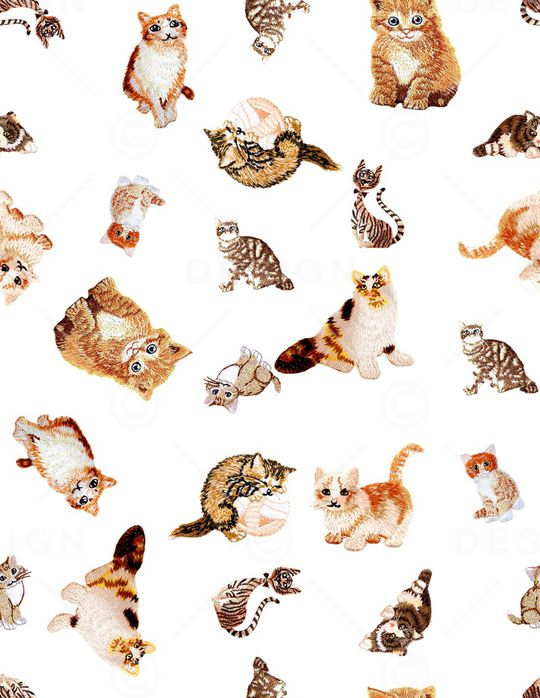 猫印花华亿平台图片