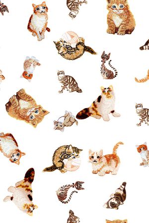 猫印花华亿平台图片